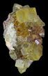 Lustrous, Yellow Cubic Fluorite Crystals - Morocco #32306-1